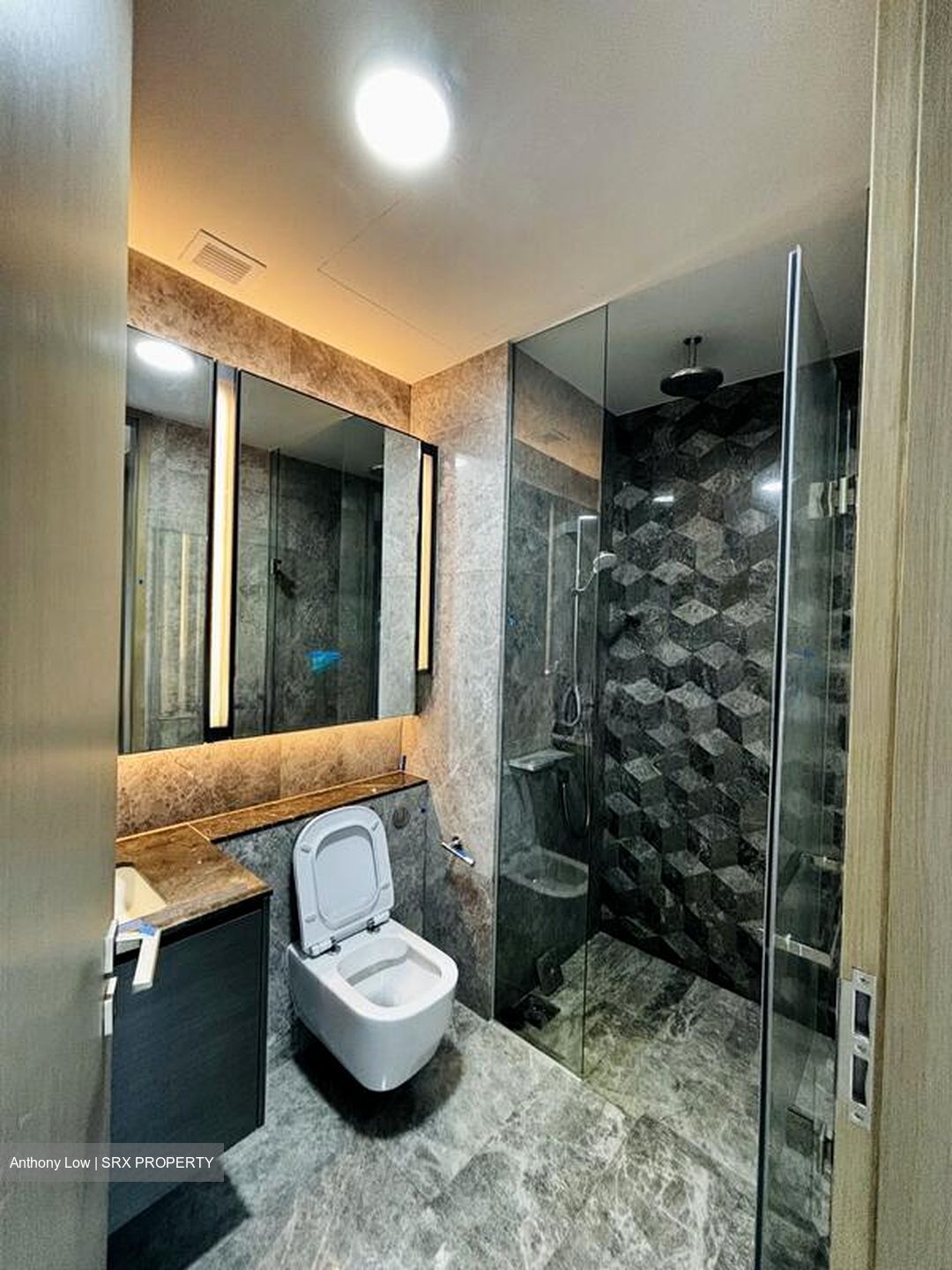 Leedon Green (D10), Condominium #509440391